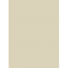 Лист акриловый CORIAN® BONE (12х760х3658mm)