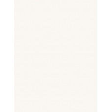 Лист акриловый CORIAN® GLACIER WHITE (12х760х3658mm)